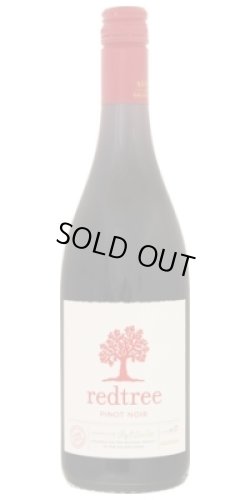 画像1: レッド　ツリー　ピノノワール 2022