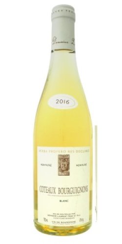 画像1: コトー・ブルギニョン・ブラン キュヴェ ノンフォルトレ 白 2021　ドメーヌ　ローラン　ペール　エフィス
