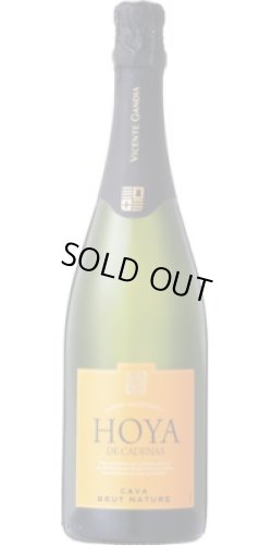 画像1: オヤ・デ・カデナス カバ ブルット・ナトゥーレ NV ビセンテ・ガンディア (スペイン)