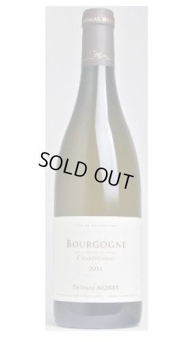 画像1: ブルゴーニュ　シャルドネ　2023　ドメーヌ・トマ・モレ　