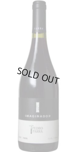 画像1: イマヒナドール 2020 ペドロ・パッラ・イ・ファミリア (チリ：赤)