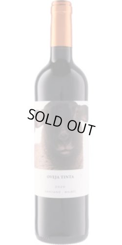 画像1: オベハ ティンタ 2022 ビニェードス・フォンタナ (スペイン：赤)