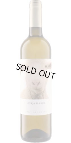 画像1: オベハ ブランカ 2024 ビニェードス・フォンタナ (スペイン：白)