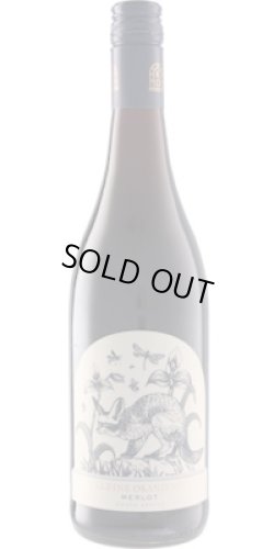 画像1: クライン・オランジェリー メルロー 2024 ブティノ SA