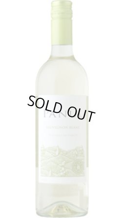 画像1: パヌール ソーヴィニヨン・ブラン 2025 マルチグエ (チリ：白)