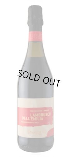 画像1: ランブルスコ デッレミリア 赤　パスクア　微発砲　