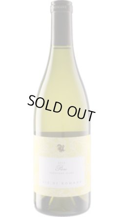 画像1: ピエーレ ソーヴィニヨン・ブラン 2016 ヴィエ・ディ・ロマンス