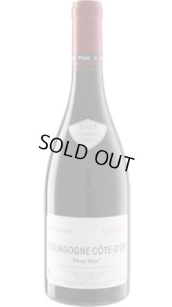 画像1: ブルゴーニュ コート・ドール 赤 2023 コワイヨ