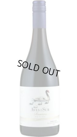 画像1: デル・スール ピノ・ノワール レセルバ 2024 ペドリガル (チリ：赤)