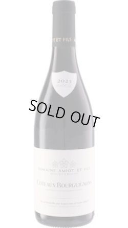 画像1: コトー・ブルギニヨン 赤 2023 アミオ・エ・フィス