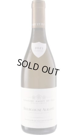 画像1: ブルゴーニュ アリゴテ 2023 アミオ・エ・フィス