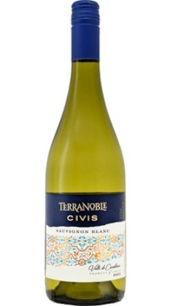 画像1: シビス　ソーヴィニヨンブラン　レセルバ 2023 テラノブレ