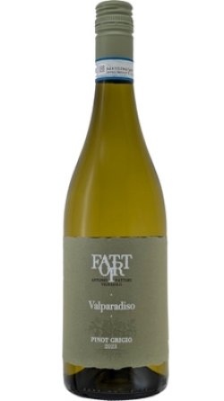 画像1: ピノ　グリージョ　ヴァルパラディソ 2023 ファットリ