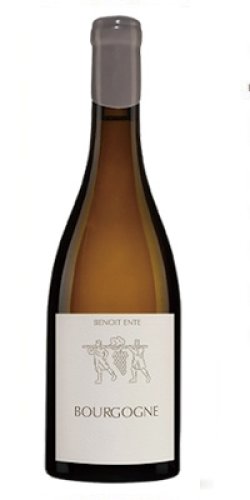 画像1: ブルゴーニュ ブラン　2020　ドメーヌ・ブノワ・アント