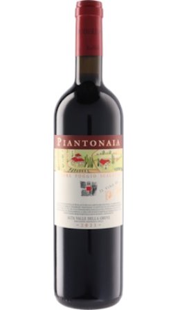 画像1: ピアントナイア 2021 ポッジョ スカレッテ