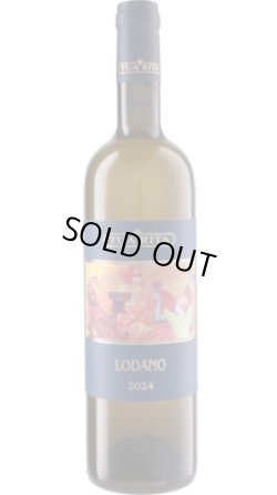 画像1: ロダーノ ビアンコ 2024 トゥア・リータ　