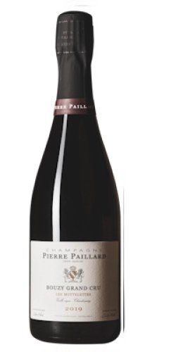 画像1: ブラン・ド・ブラン　レ・モトレット 2020  ピエール・パイヤール