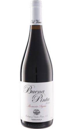 画像1: ブエナ・ピンタ 2024 ポンセ (スペイン：赤)