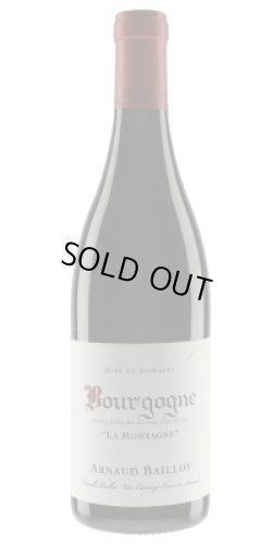 画像1: ブルゴーニュ　ピノ・ノワール　モンターニュ 2023　アルノー・バイヨ