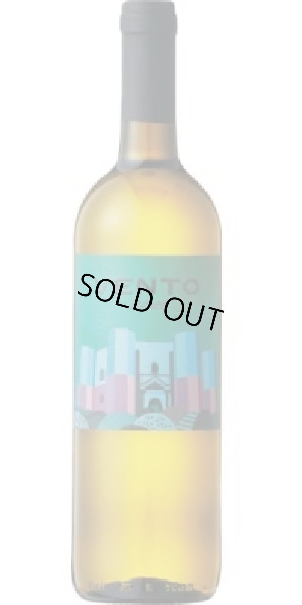 画像1: ヴェント 白 2023 トッレヴェント