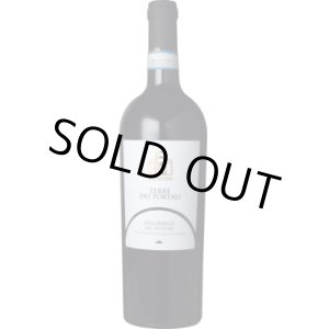 画像: アリアニコ・デル・ヴルトゥレ 2021 ディオメーデ　