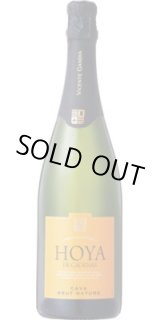 画像: オヤ・デ・カデナス カバ ブルット・ナトゥーレ NV ビセンテ・ガンディア (スペイン)