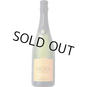 画像: オヤ・デ・カデナス カバ ブルット・ナトゥーレ NV ビセンテ・ガンディア (スペイン)