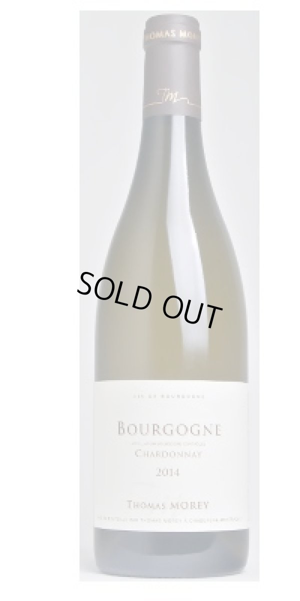 画像1: ブルゴーニュ　シャルドネ　2023　ドメーヌ・トマ・モレ　