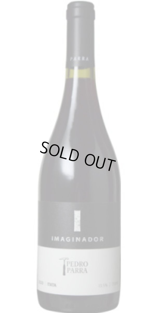 画像1: イマヒナドール 2020 ペドロ・パッラ・イ・ファミリア (チリ：赤)