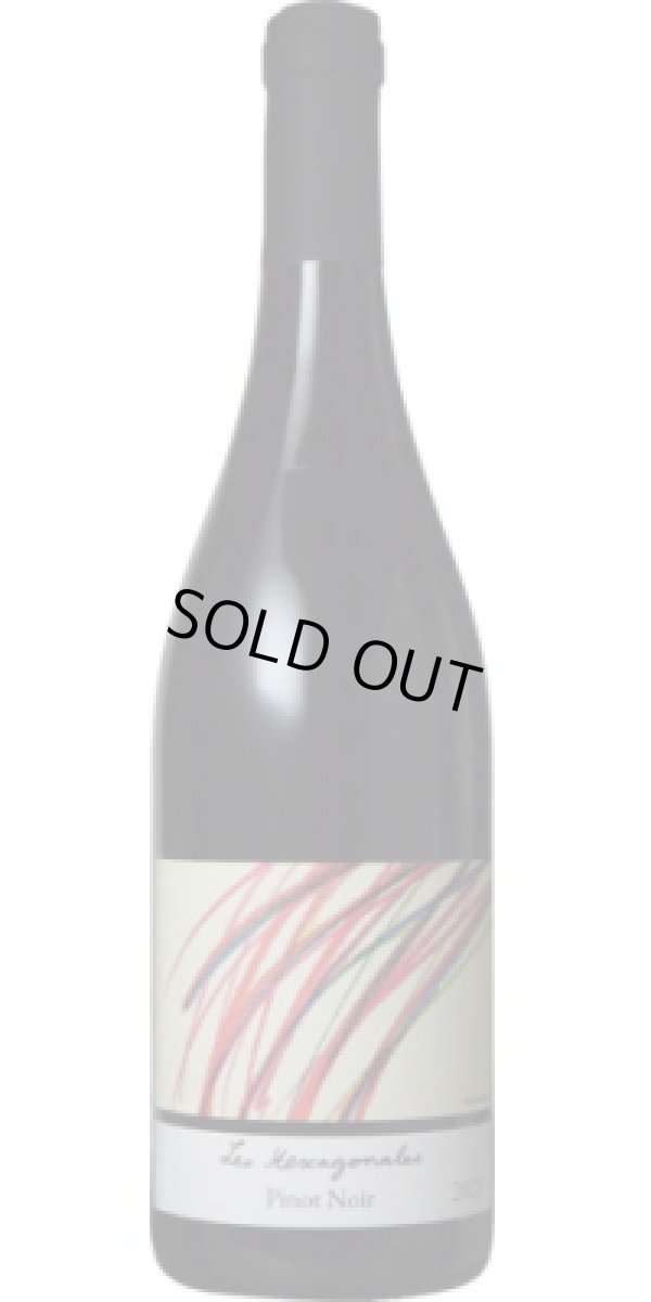 画像1: ピノ・ノワール レ・ゼキサゴナル 2023 ドメーヌ・メリオー