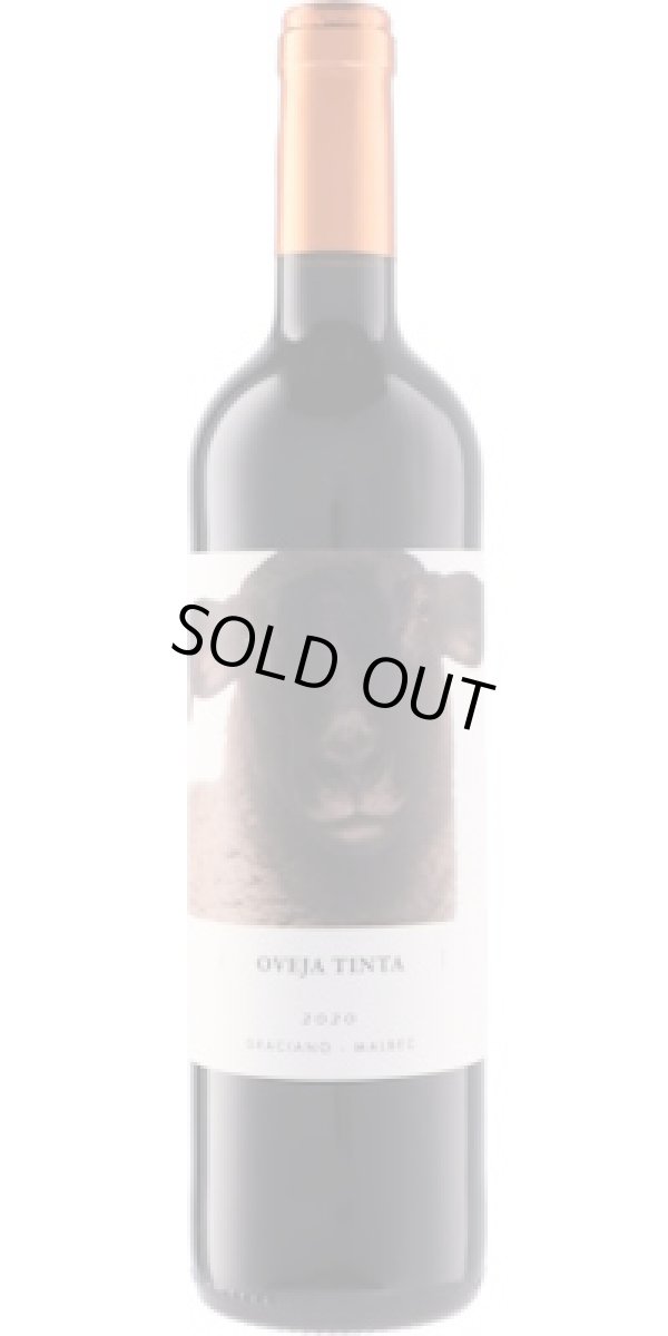 画像1: オベハ ティンタ 2022 ビニェードス・フォンタナ (スペイン：赤)