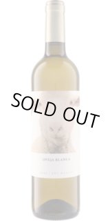 画像: オベハ ブランカ 2023 ビニェードス・フォンタナ 