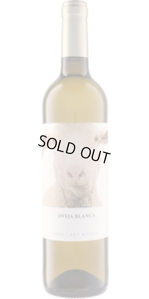画像1: オベハ ブランカ 2024 ビニェードス・フォンタナ (スペイン：白)