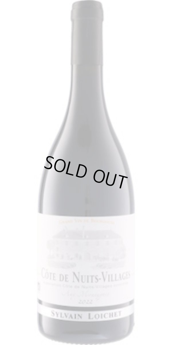 画像1: コート・ド・ニュイ・ヴィラージュ オー・モンターニュ 2023 シルヴァン・ロワシェ