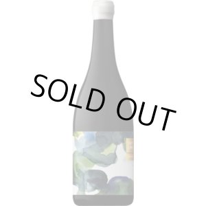 画像: オデオン ピノ・ノワール 2018 ヴィンテロパー (オーストラリア：赤)