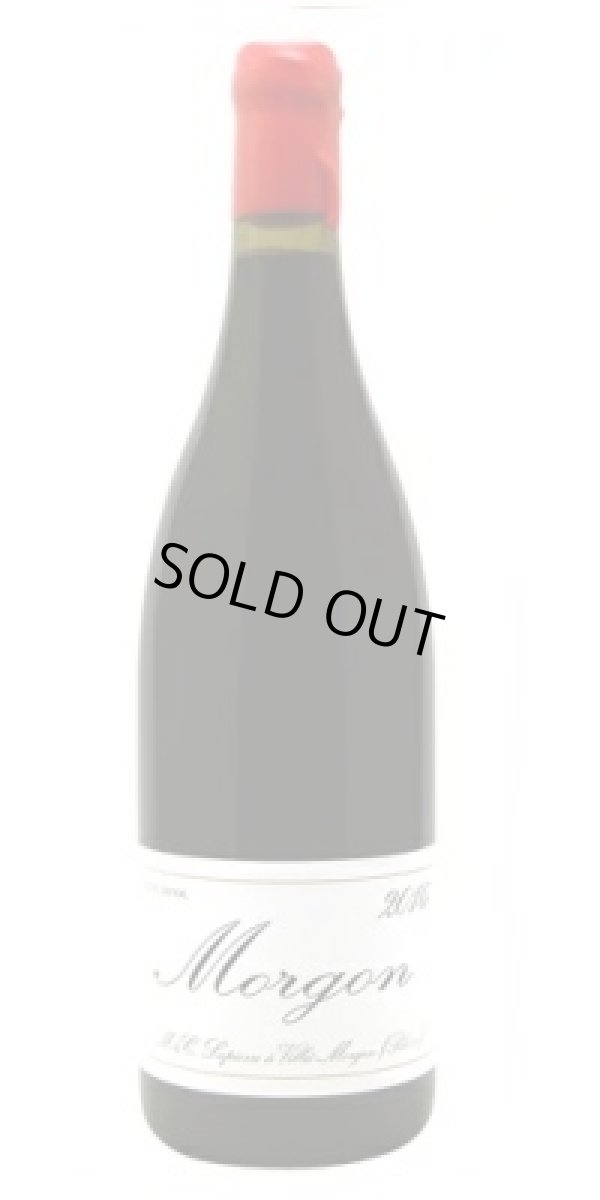 画像1: モルゴン　VV  2023　マルセル・ラピエール　