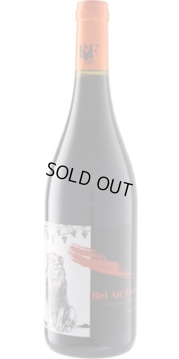 画像1: ベレール フォーヴ フロントン 2022 テール・フォーヴ