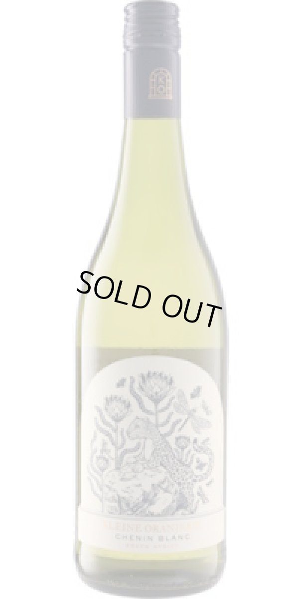 画像1: クライン・オランジェリー シュナン・ブラン 2025 ブティノ SA