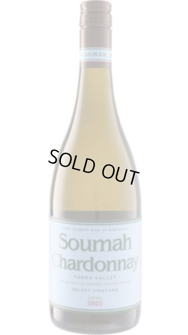 画像1: シャルドネ・ディ・ソウマ 2023 ソウマ