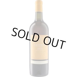 画像: マカシヴィリ・ワイン・セラー ヒフヴィ 2023 ヴァジアニ (ジョージア：オレンジ)