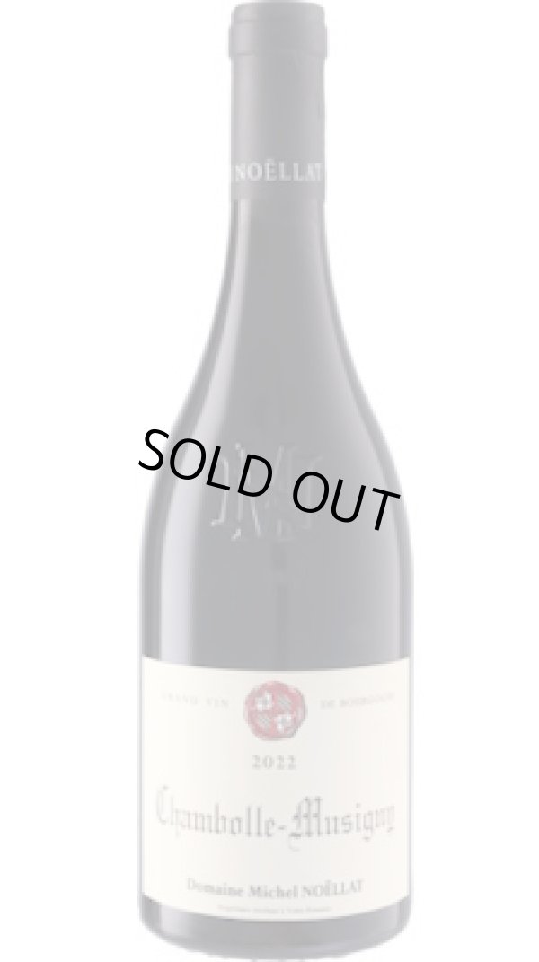 画像1: シャンボル・ミュジニー 2022 ミシェル・ノエラ