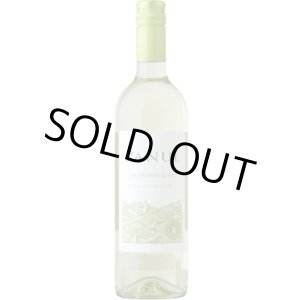 画像: パヌール ソーヴィニヨン・ブラン 2025 マルチグエ (チリ：白)