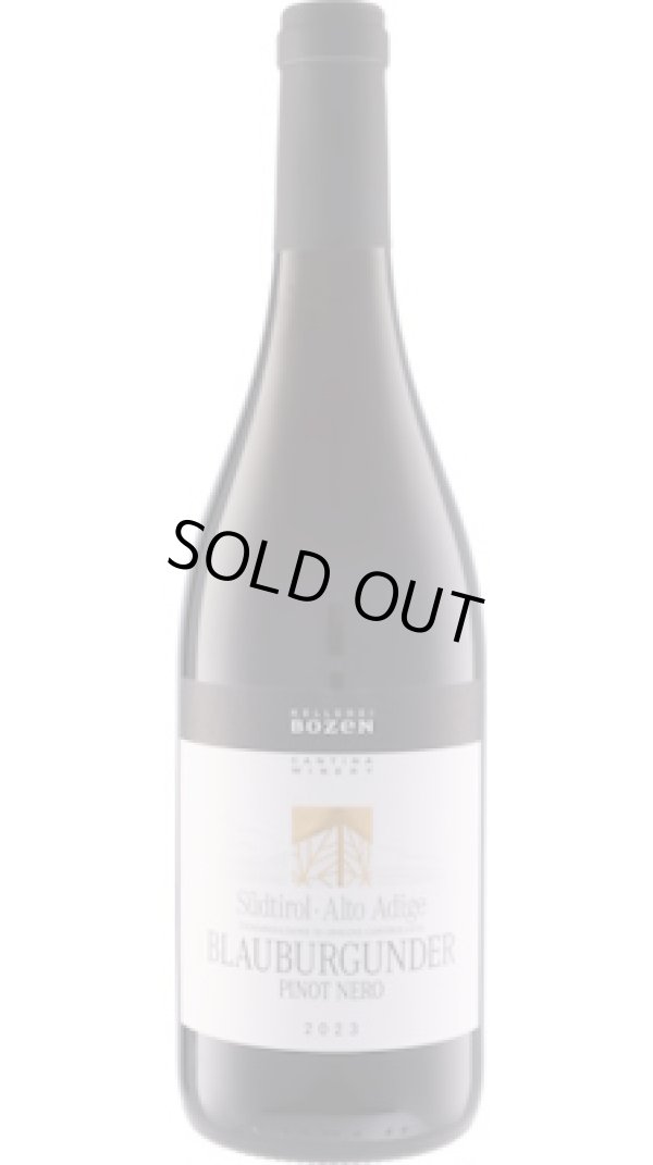 画像1: サンタ・マッダレーナ グリエス ピノ・ネロ 2023 ボルツァーノ