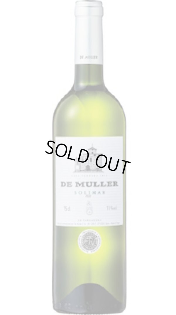 画像1: ソリマール ブランコ 2024 デ・ムリェール (スペイン：白)