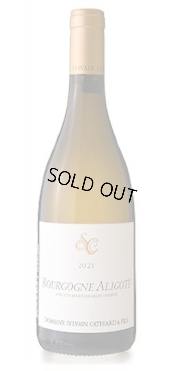 画像1: ブルゴーニュ アリゴテ   2021  シルヴァン カティアール