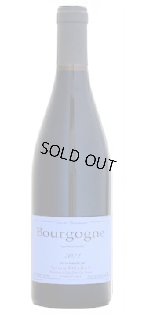 画像1: ブルゴーニュ・ルージュ　2022　ドメーヌ シルヴァン パタイユ　