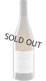 画像: サンセール シレックス 白 2023 ミッシェル・トマ