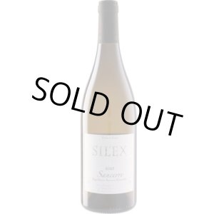 画像: サンセール シレックス 白 2023 ミッシェル・トマ