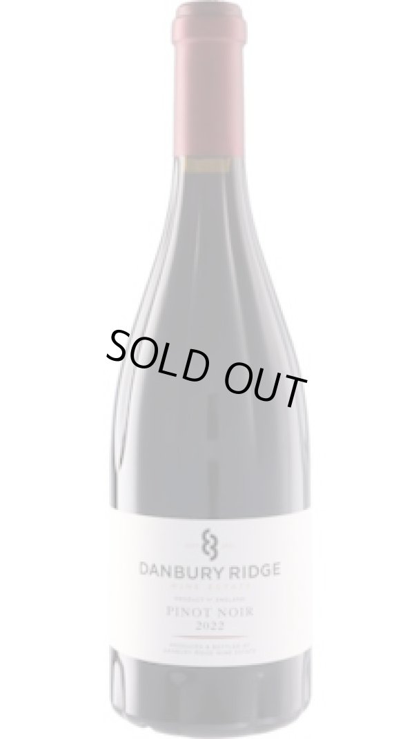 画像1: ダンブリー リッジ ピノ・ノワール 2022 (イギリス：赤)