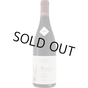 画像: オート コート ド ニュイ ルージュ オー ヴァロン 2023 ミッシェル　グロ